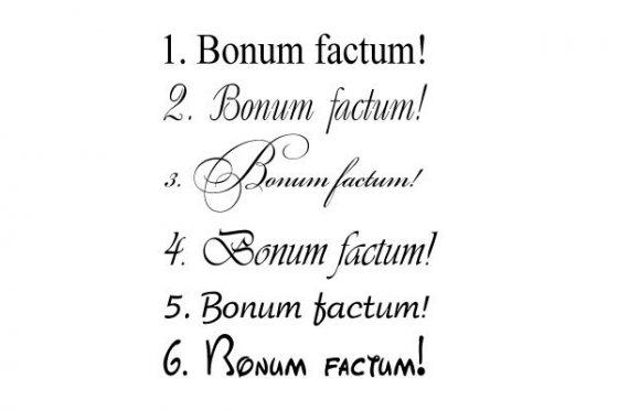 Bonum est. Счастье перевод на латынь. Bonum Factum гравировка. Factum est Factum тату. На благо и счастье на латыни.