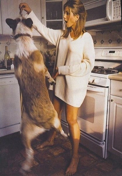 ჯენიფერ ენისტონი ძაღლთან ერთად