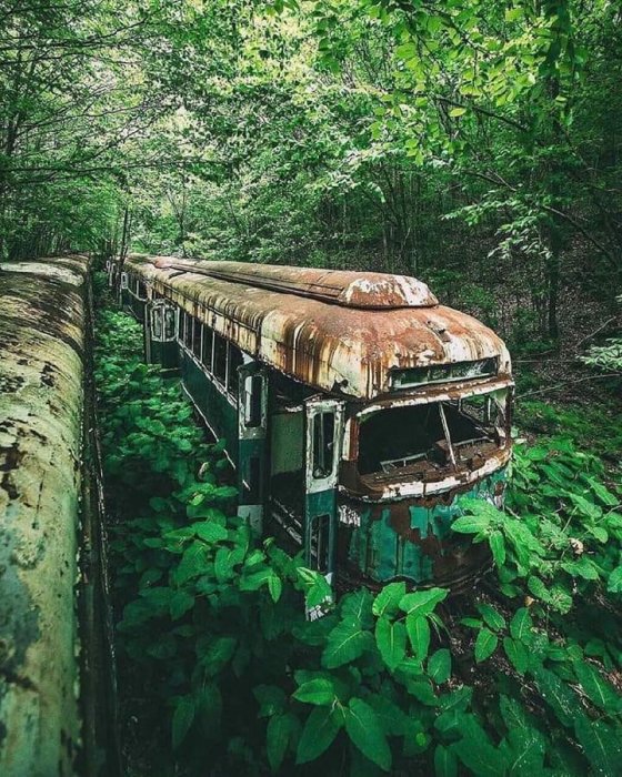 სოხუმი-თბილისის მიტოვებული მატარებელი ოკუპირებულ აფხაზეთში ტყეში დგას