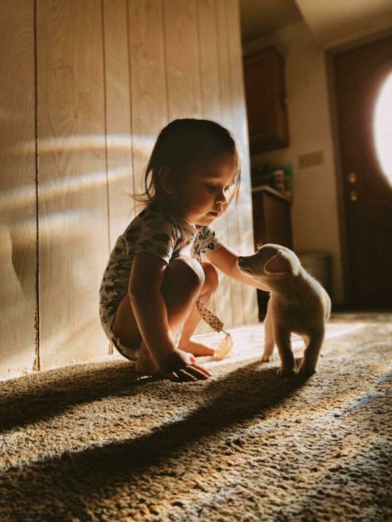 ცხოველებს უყვართ ბავშვები