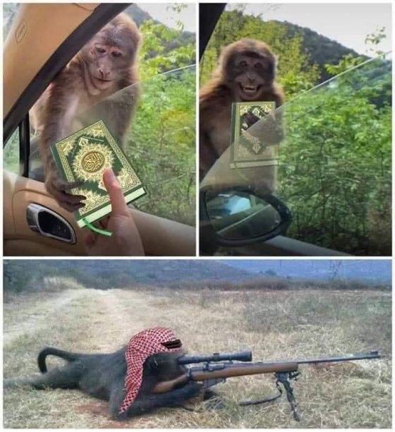 მაიმუნს ყურანი მისცეს და ეგრევე იარაღი დააძრო