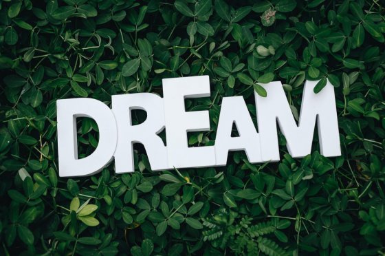ოცნება ჯერ უნდა გახდეს მიზანი, შემდეგ კი რეალობა