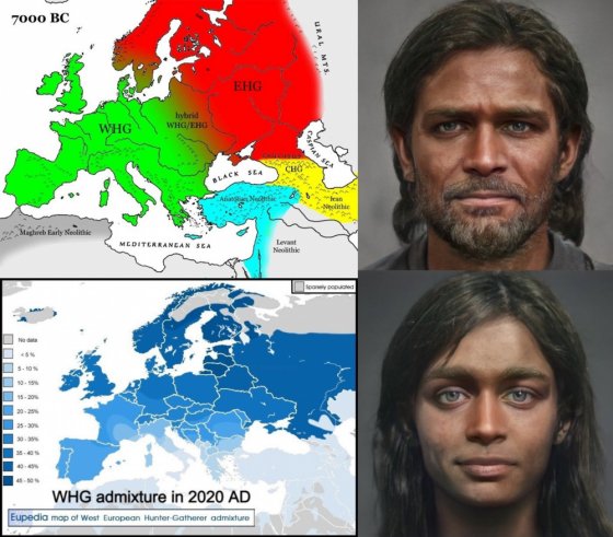 დასავლეთ ევროპელი მონადირე-შემგროვებლების დომინაცია - ძვ.წ. 10,000-6000 წწ.