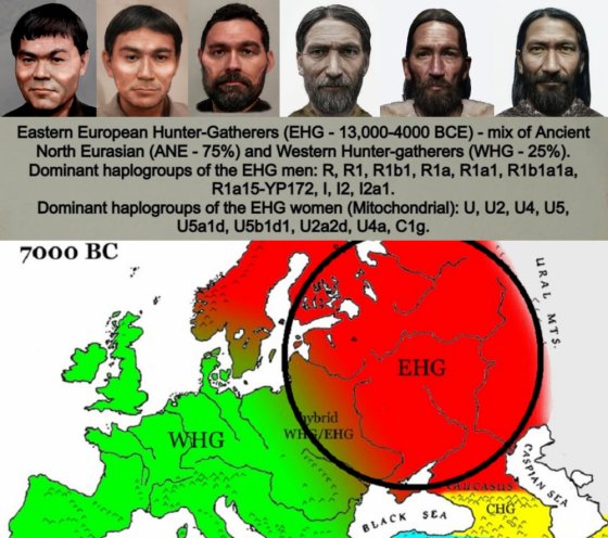 Eastern Hunter-Gatherers / Eastern European Hunter-Gatherers / EHG