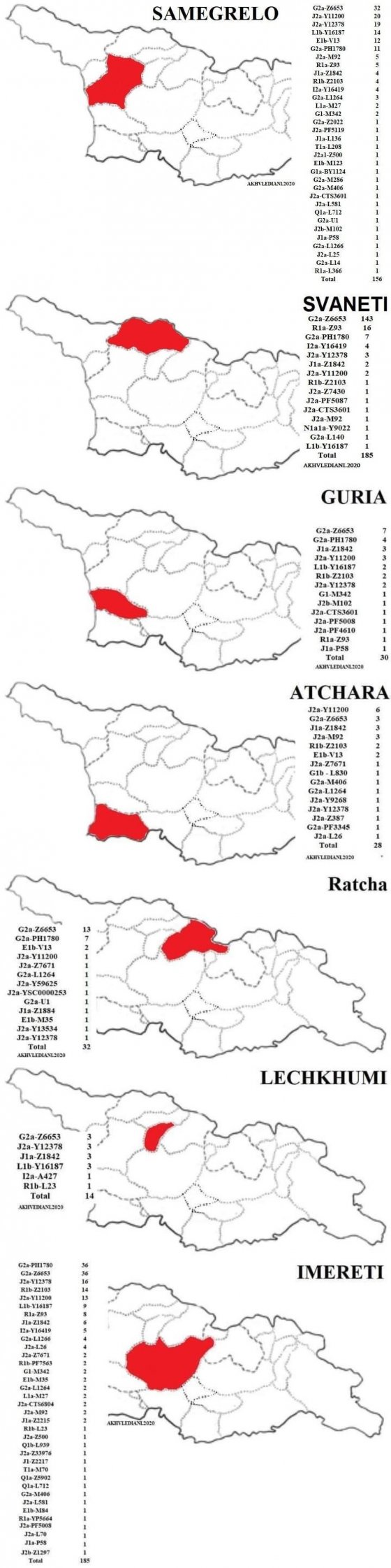 დასავლეთ ქართული გვარების ჰაპლოჯგუფები / Haplogroups of the Western Georgian Surnames