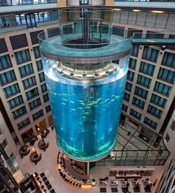 ბერლინში სასტუმროში მდებარე ცილინდრული აუზი დაიმსხვრა და 1500 თევზი ფოიეში გაიფანტა