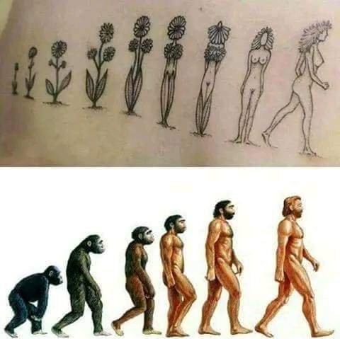 სახალისო შედარება - ქალის და კაცის ევოლუცია