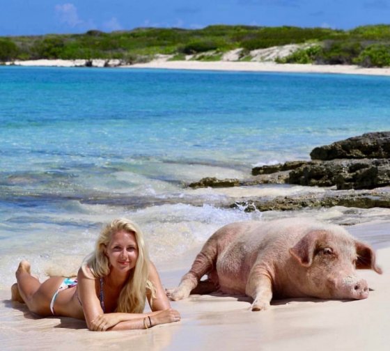 ღორი ქალთან ერთად ნებივრობს პლაჟზე