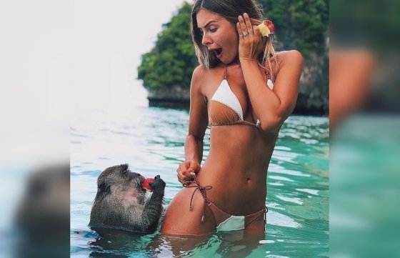 უძახე ახლა ამას მაიმუნი, ისეთ გოგოს "ეჩალიჩება"