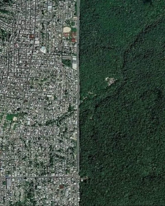 საზღვარი ბრაზილიის ქალაქ მანაუსსა და ამაზონის ტროპიკულ ტყეს შორის