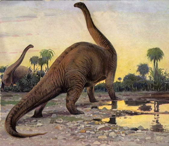 Brontosaurus