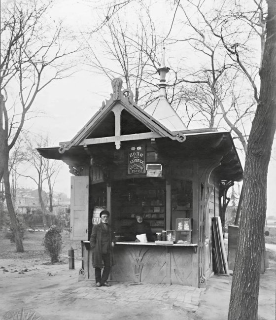 ალექსანდრეს ბაღი, ლაღიძის წყლები – 1914 წელი.