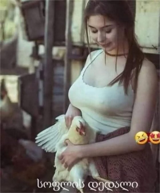 სოფლის დედალს რა სჯობია