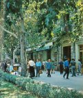 რუსთაველის გამზირი. მე-20 საუკუნის 70-80-იანი წლების მიჯნა.