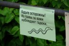 ისინი გვითვალთვალებენ!