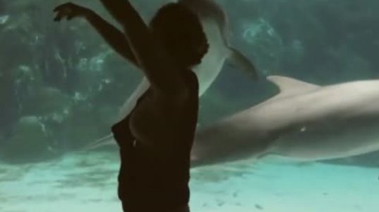 დელფინარიუმში  გოგონას ცეკვამ დელფინი აღაფრთოვანა