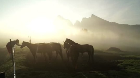 "მინდოდა სამუდამოდ გაგრძელებულიყო ის წამები"  - ულამაზესი დილა მთებში ცხენებთან ერთად