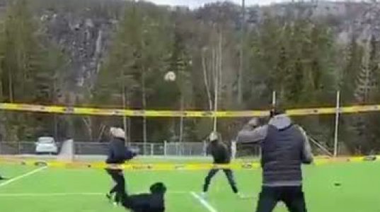 ფრენბურთის მოთამაშე ძაღლი - ვიდეო რომელიც ყველა ადამიანმა უნდა ნახოს!