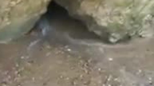 კლდიდან გამოტყორცნილი წყალი,რომელსაც ძვირფასი ქვები მოყვება(ავღანეთი)